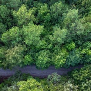 Photo #14 of Daystar, Lancaster, SC