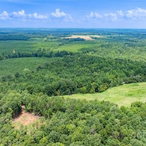 Photo #14 of Daystar, Lancaster, SC