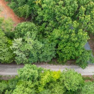 Photo #17 of Daystar, Lancaster, SC