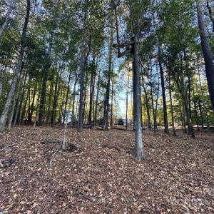 Photo #13 of 4393 Concord, York, SC