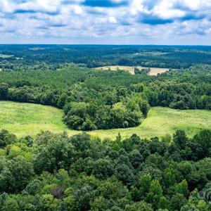 Photo #4 of Daystar, Lancaster, SC