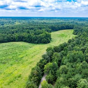 Photo #9 of Daystar, Lancaster, SC