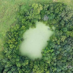 Photo #14 of Daystar, Lancaster, SC