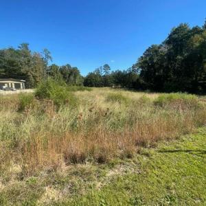 Photo #3 of 8756 Wilson, Columbia, SC