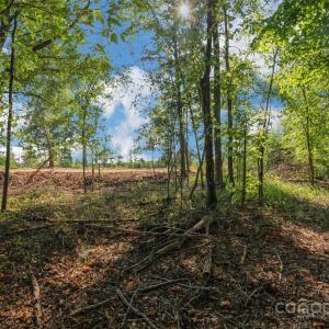 Photo #27 of 1013 Oakshire, Waxhaw, NC