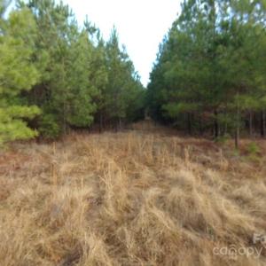 Photo #6 of 15.55 Ac Cedarhurst, Chester, SC