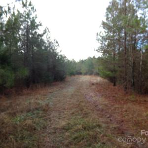 Photo #5 of 15.55 Ac Cedarhurst, Chester, SC