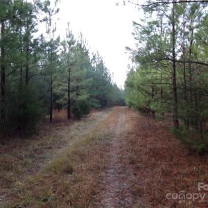 Photo #4 of 15.55 Ac Cedarhurst, Chester, SC
