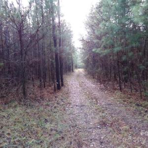 Photo #7 of 38 Ac Cedarhurst, Chester, SC