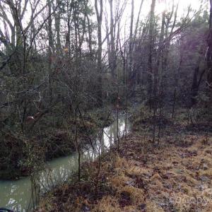 Photo #10 of 38 Ac Cedarhurst, Chester, SC