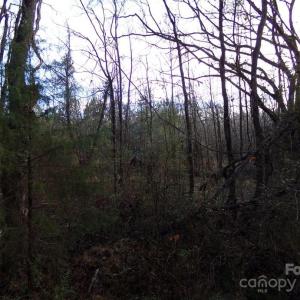 Photo #11 of 38 Ac Cedarhurst, Chester, SC