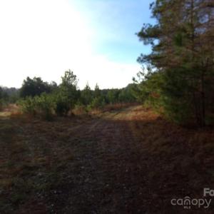 Photo #3 of 38 Ac Cedarhurst, Chester, SC