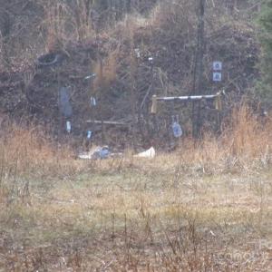 Photo #8 of 38 Ac Cedarhurst, Chester, SC