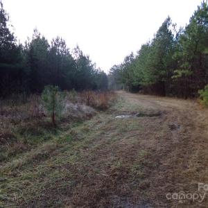 Photo #9 of 38 Ac Cedarhurst, Chester, SC