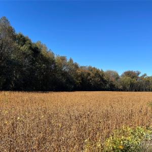Photo #3 of VAC Highway 52 S, Norwood, NC