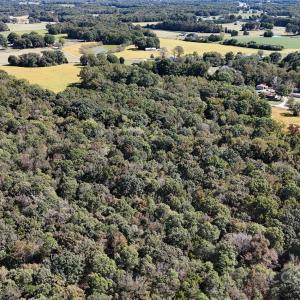 Photo #16 of Unionville, Monroe, NC