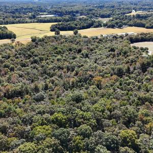 Photo #15 of Unionville, Monroe, NC