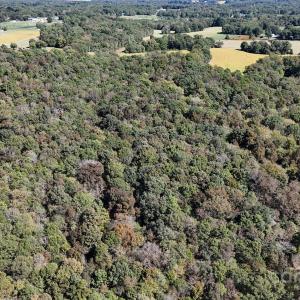 Photo #18 of Unionville, Monroe, NC