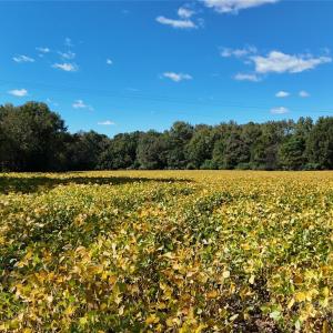 Photo #28 of Unionville, Monroe, NC