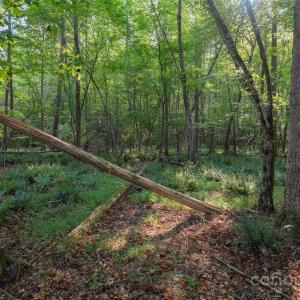 Photo #43 of 1016 Oakshire, Waxhaw, NC