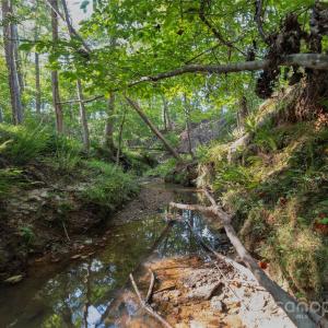 Photo #39 of 1016 Oakshire, Waxhaw, NC