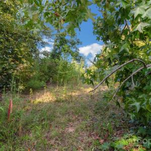 Photo #37 of 1016 Oakshire, Waxhaw, NC