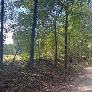 Photo #3 of Bath, Lancaster, SC