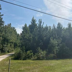 Photo #4 of Bath, Lancaster, SC