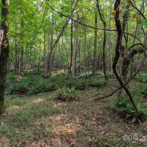 Photo #43 of 1012 Oakshire, Waxhaw, NC