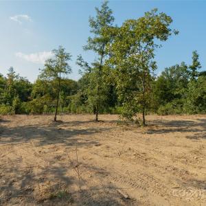 Photo #33 of 1012 Oakshire, Waxhaw, NC