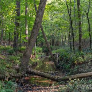 Photo #40 of 1012 Oakshire, Waxhaw, NC