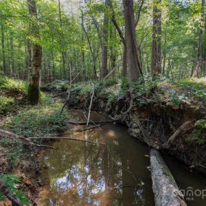 Photo #38 of 1012 Oakshire, Waxhaw, NC