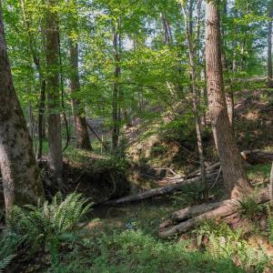 Photo #41 of 1012 Oakshire, Waxhaw, NC