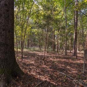 Photo #27 of 1012 Oakshire, Waxhaw, NC