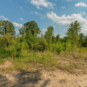 Photo #31 of 1012 Oakshire, Waxhaw, NC