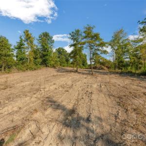 Photo #44 of 1012 Oakshire, Waxhaw, NC