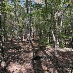 Photo #4 of State, China Grove, NC