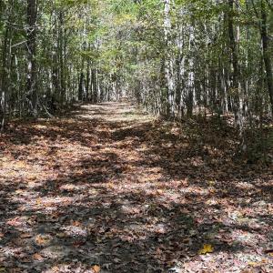 Photo #9 of State, China Grove, NC