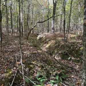 Photo #7 of State, China Grove, NC