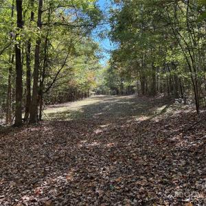 Photo #8 of State, China Grove, NC