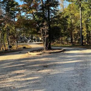 Photo #6 of 2140 Two Sisters, Van Wyck, SC