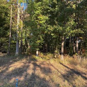 Photo #5 of 2140 Two Sisters, Van Wyck, SC