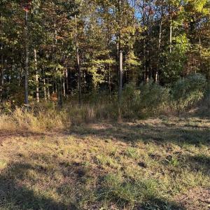 Photo #3 of 2140 Two Sisters, Van Wyck, SC