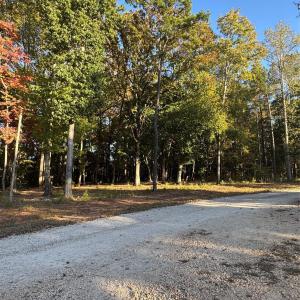 Photo #9 of 2140 Two Sisters, Van Wyck, SC