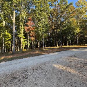 Photo #10 of 2140 Two Sisters, Van Wyck, SC