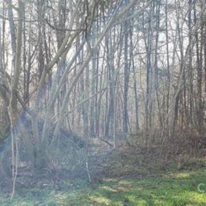 Photo #2 of Lockhart, Landrum, SC