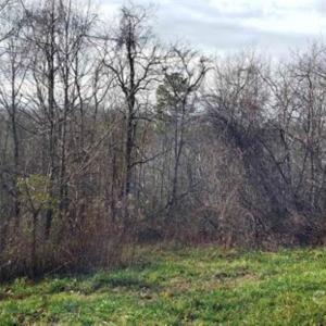 Photo #3 of Lockhart, Landrum, SC