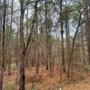 Photo #2 of 1176 Great Falls, Chester, SC