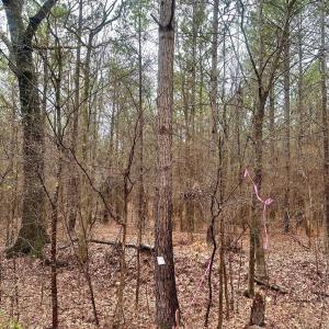 Photo #1 of 1176 Great Falls, Chester, SC