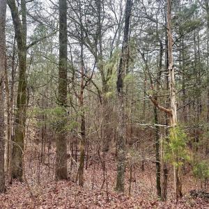 Photo #4 of 1176 Great Falls, Chester, SC